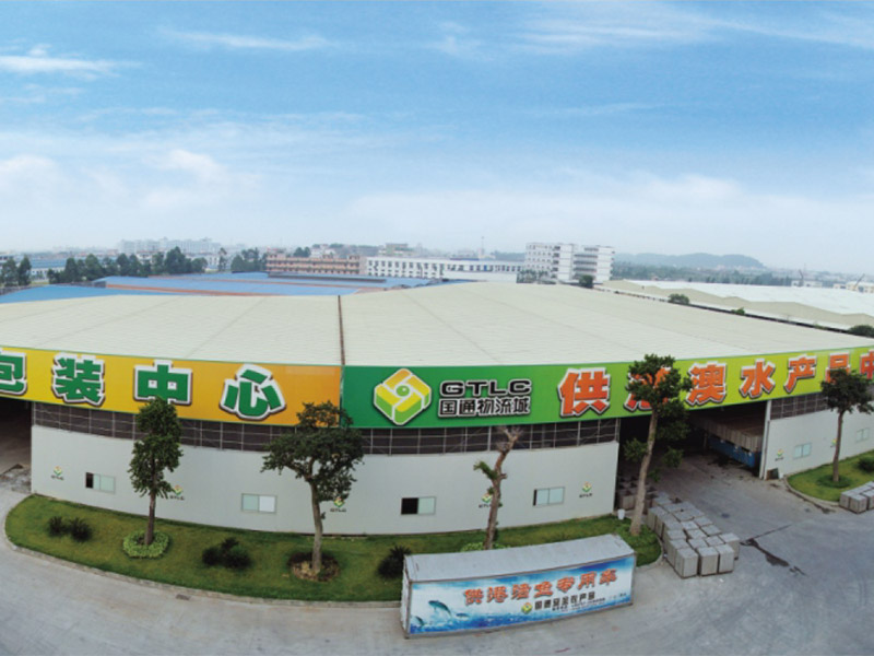 Guangdong Guotong Logistics Eel Crane Water Field Grid Project