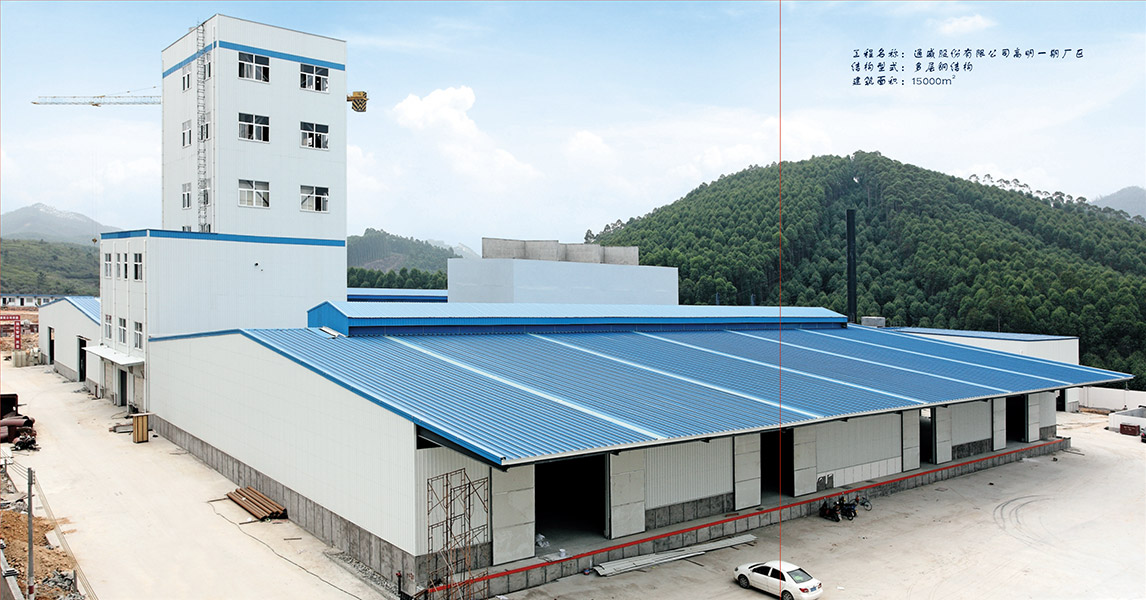 Tongwei Co., Ltd. Gaoming Phase I Plant
